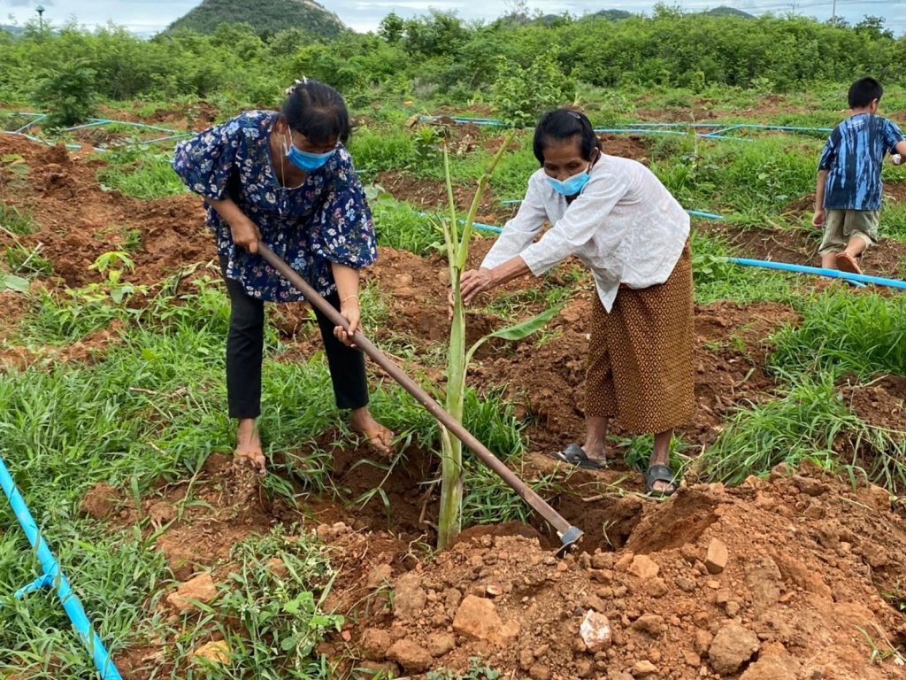 กลุ่มวิชาศึกษาทั่วไปและกรรมการโครงการศาสตร์พระราชา ดำเนินโครงการตามแนวทางศาสตร์แห่งพระราชา