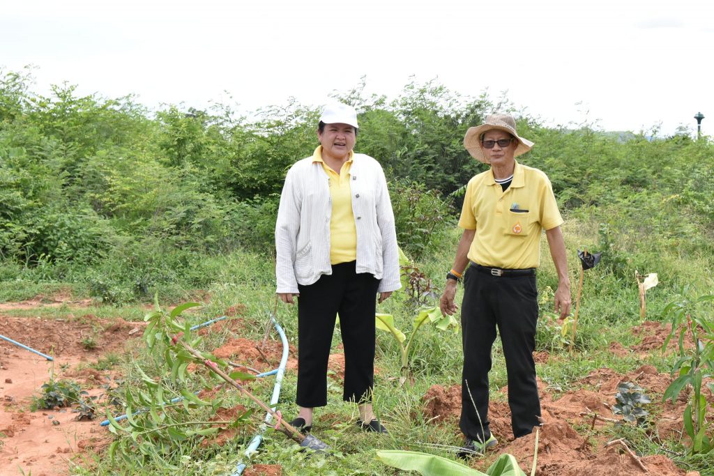 โครงการศาสตร์พระราชา  หนึ่งคน หนึ่งต้น บนแผ่นดินพ่อ