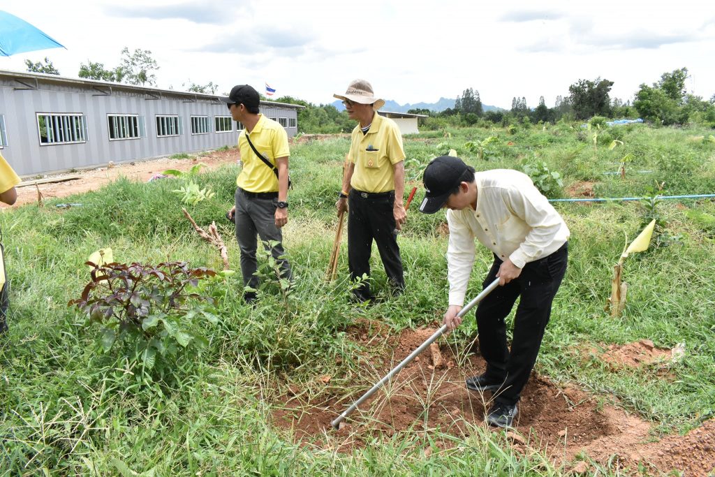 โครงการศาสตร์พระราชา  หนึ่งคน หนึ่งต้น บนแผ่นดินพ่อ