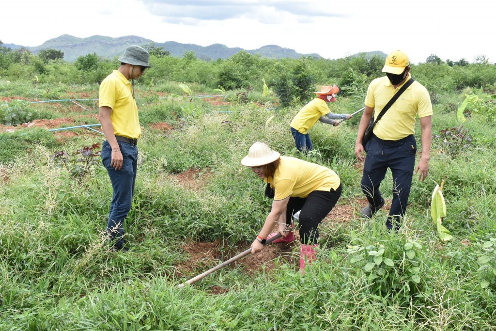 โครงการศาสตร์พระราชา  หนึ่งคน หนึ่งต้น บนแผ่นดินพ่อ