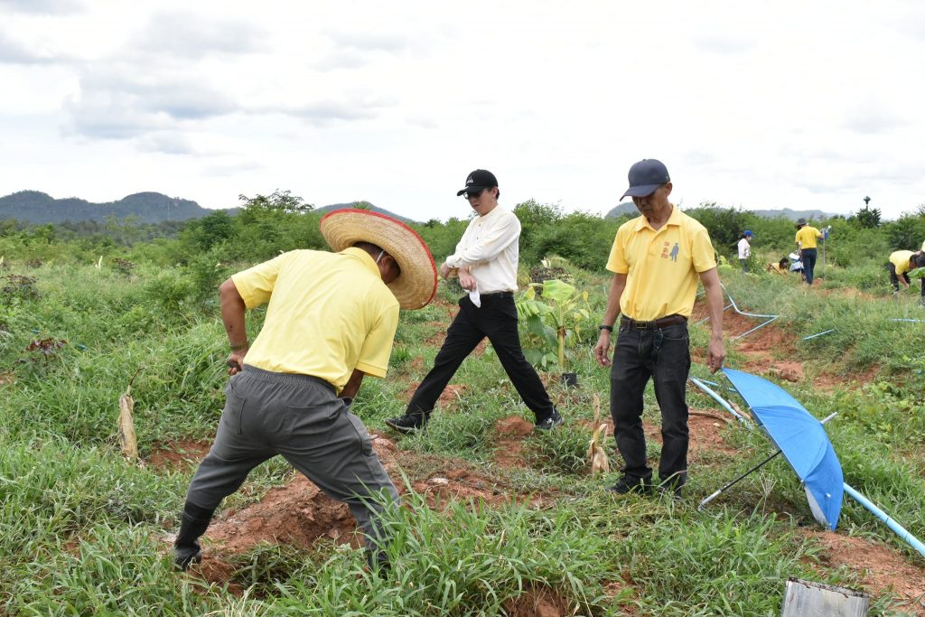 โครงการศาสตร์พระราชา  หนึ่งคน หนึ่งต้น บนแผ่นดินพ่อ