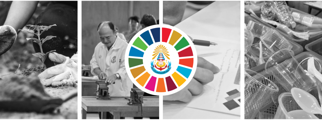 PIT for SDGs